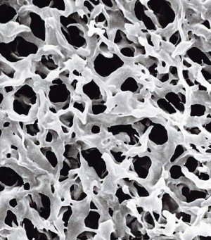 Filtry membránové MILLIPORE Durapore - PVDF